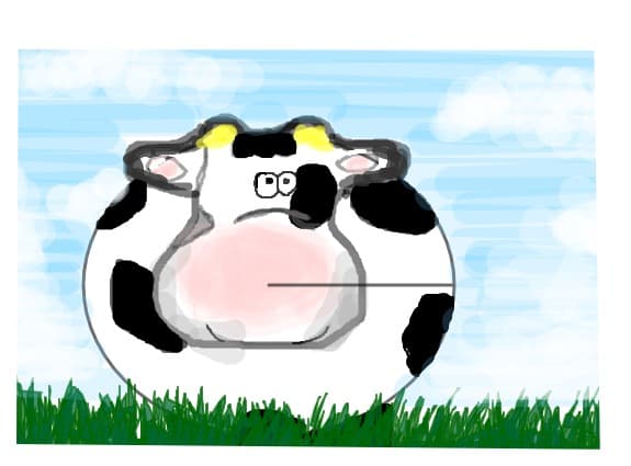 o vaca