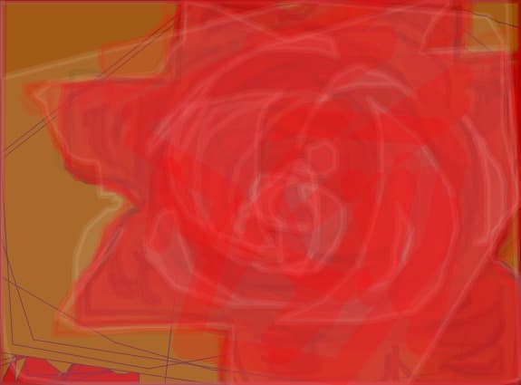 rose