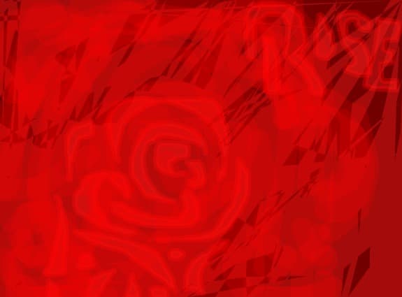 cool Rose