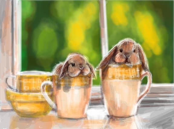serviti o canitza cu shake bunny