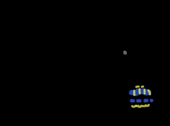 iepurash