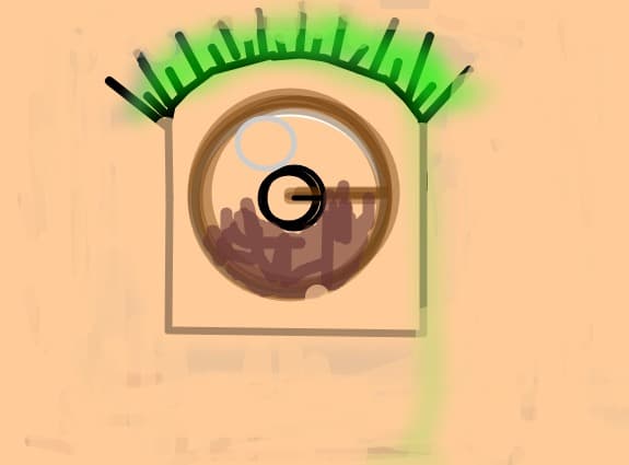 eye