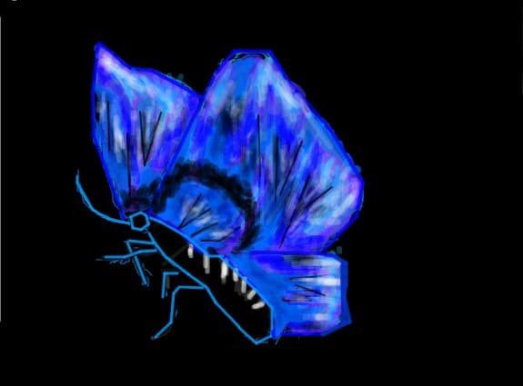 Blue butterfly(ok nu este chiar asha albastru)