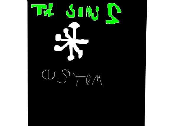 the sims 2 custom