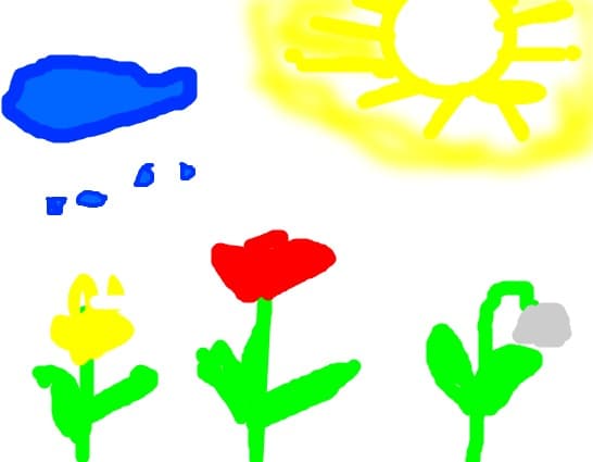 Florile ploia si soarele