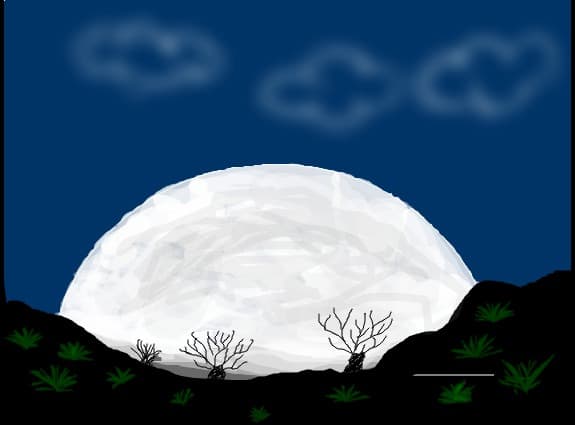 like it??