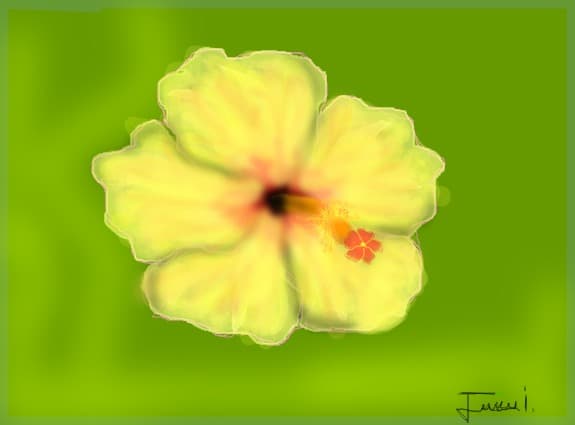 Yellow Hibiscus Flower