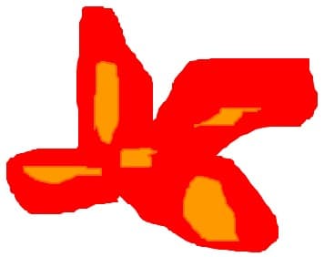 Floare