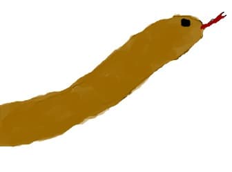 snake