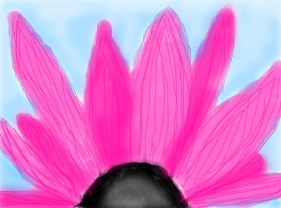 floare rozaa