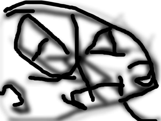 monstre