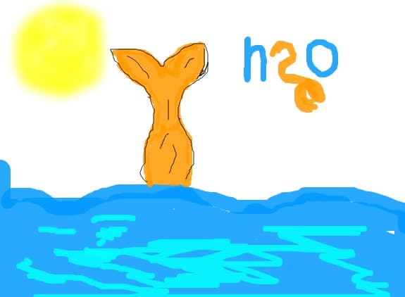 h2o