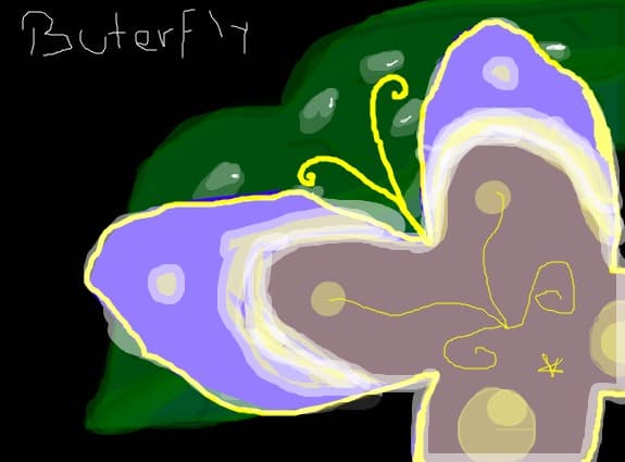 buterfly