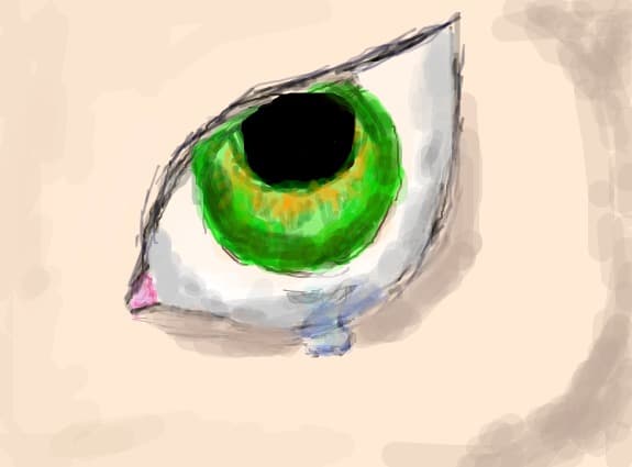 ochi...