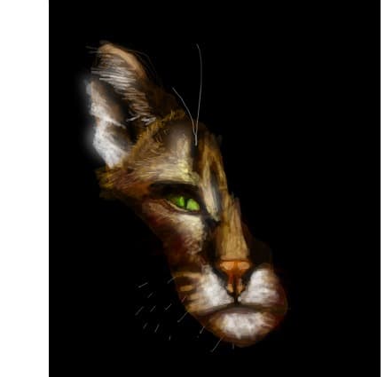 felina