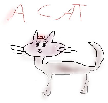 pisica