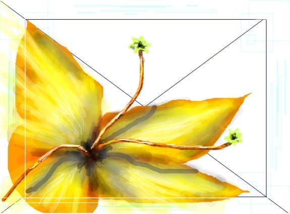 Exotic complementar