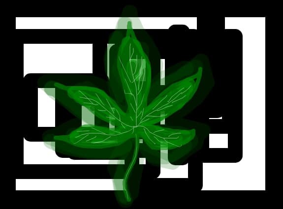 marijuana