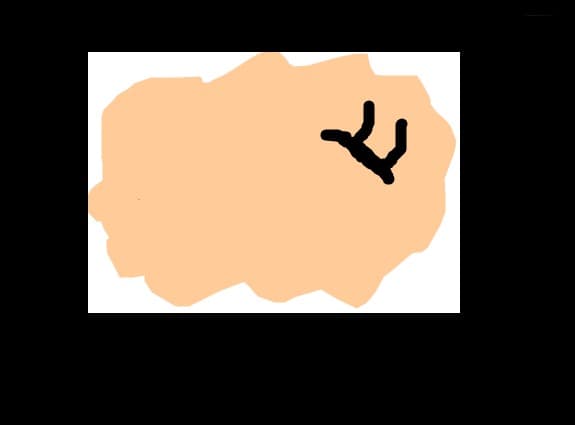 ochi