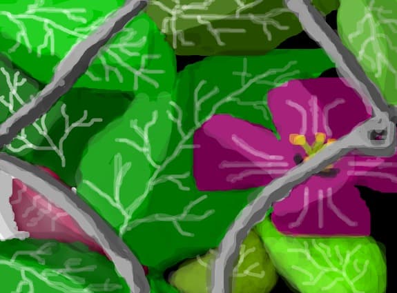 floricica intre frunze