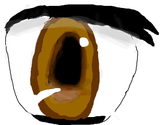 eye