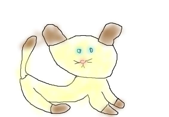 pisicuta anime