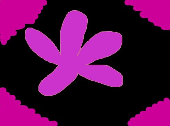 o floare