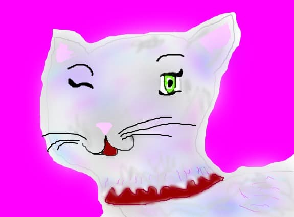 qeen kitty
