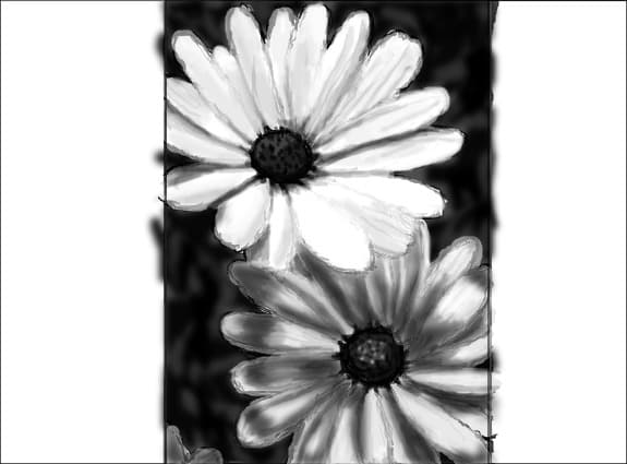 ~~~...black and white....~~~