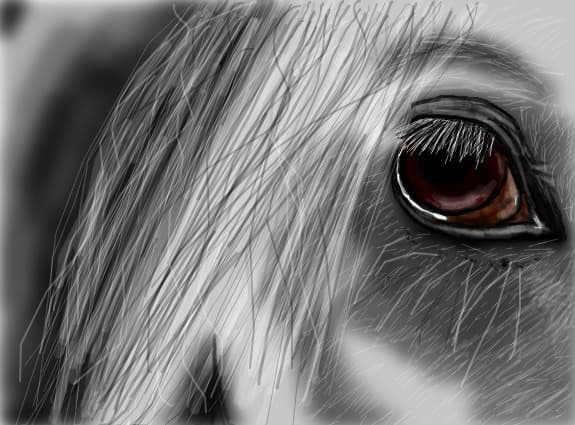 the eye...