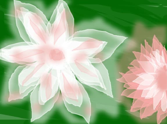 floricik:X