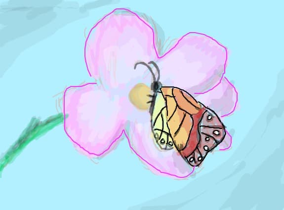un fluturas pe o floricica