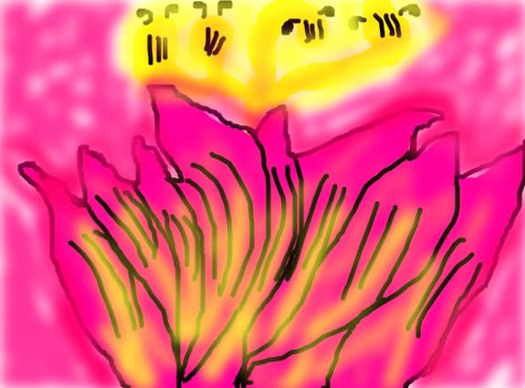 Floricica