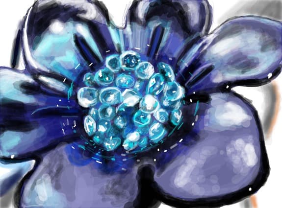 fara parfum