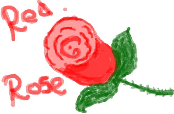 RED ROSE