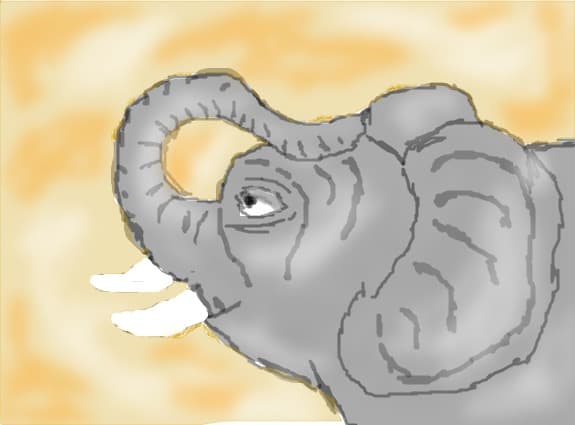 elefant
