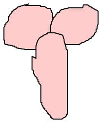 ceva pt toti desennatorii