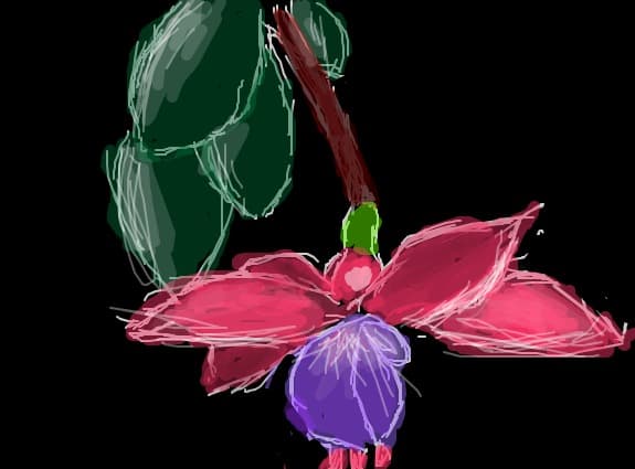 o floare..