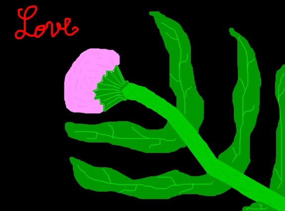 ,,Love\'\'