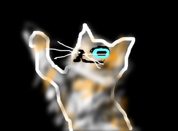cat