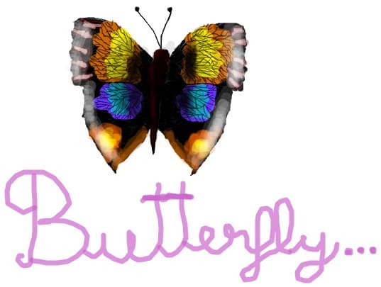 butterfly