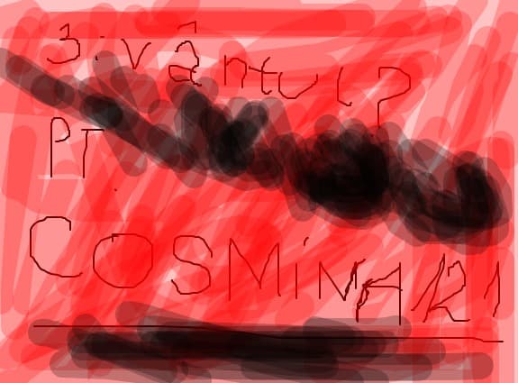 pt cosmina121