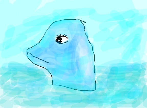 delfin