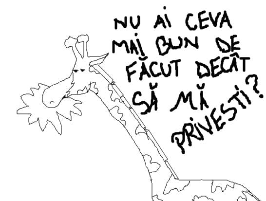 girafa nesimtita!