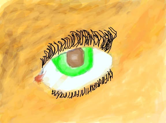 ochi