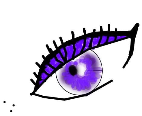 Ochi