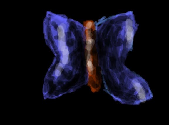 blue butterfly