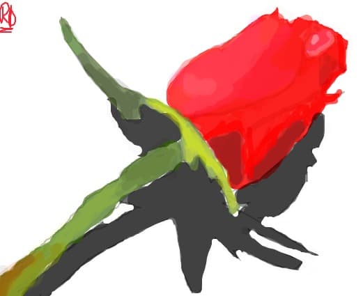rose
