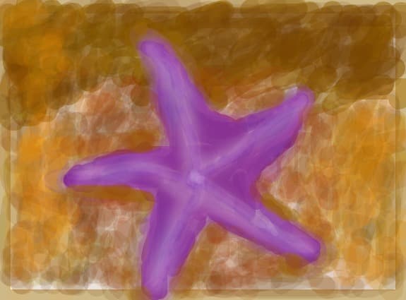 starfish