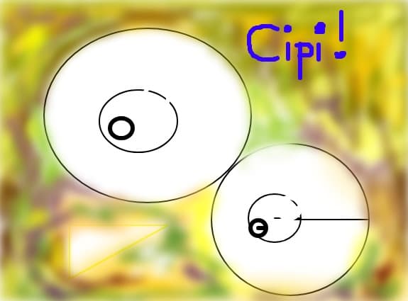 Cipi